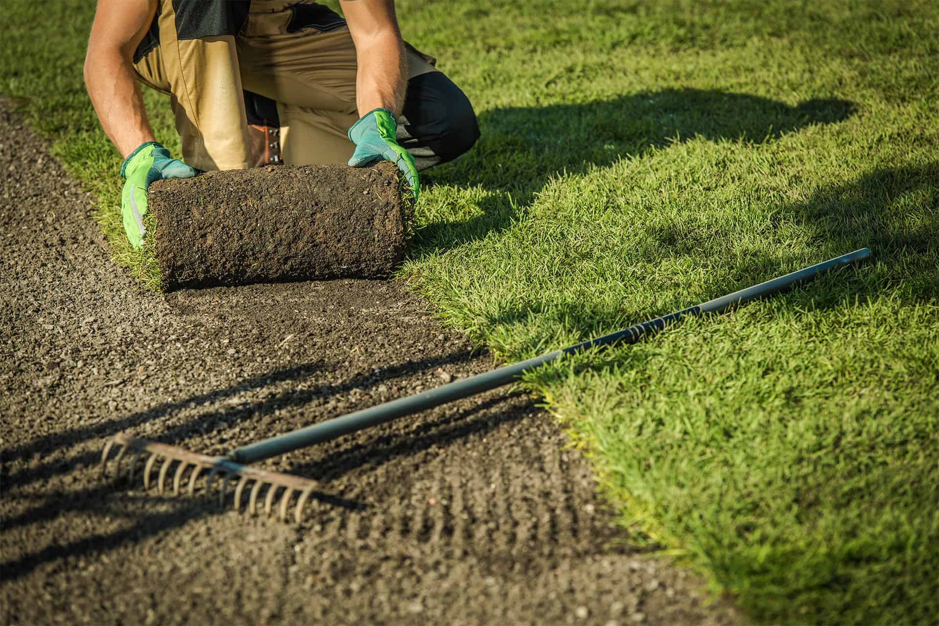 Laying down sod