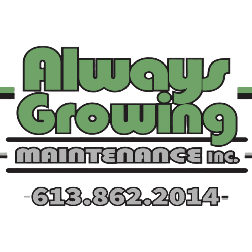 Site logo transparent background